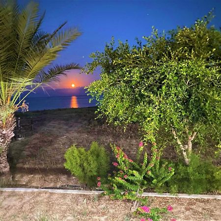 Paradise Karpaz Hotel & Restaurant Rizokarpaso Εξωτερικό φωτογραφία