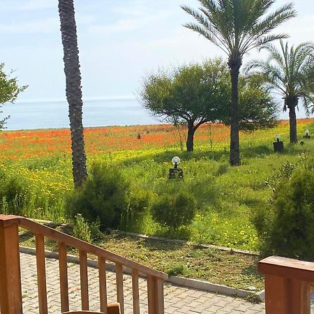 Paradise Karpaz Hotel & Restaurant Rizokarpaso Εξωτερικό φωτογραφία