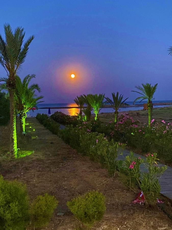 Paradise Karpaz Hotel & Restaurant Rizokarpaso Εξωτερικό φωτογραφία